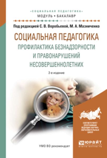 Обложка книги «Социальная педагогика. Профилактика безнадзорности и правонарушений несовершеннолетних 2-е изд., испр. и доп. Учебное пособие для академического бакалавриата»