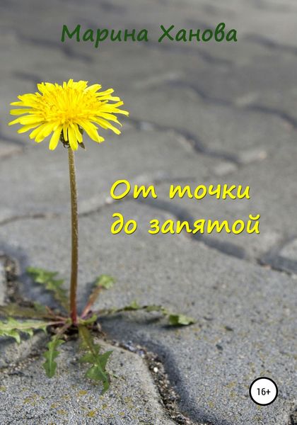 Обложка книги «От точки до запятой»