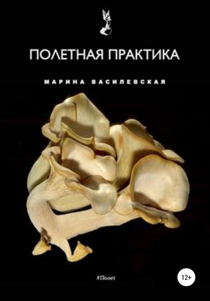 Обложка книги  «Полетная практика»