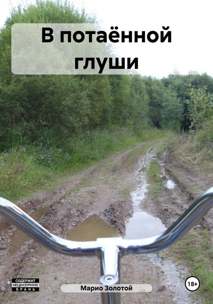 Обложка книги  «В потаённой глуши»