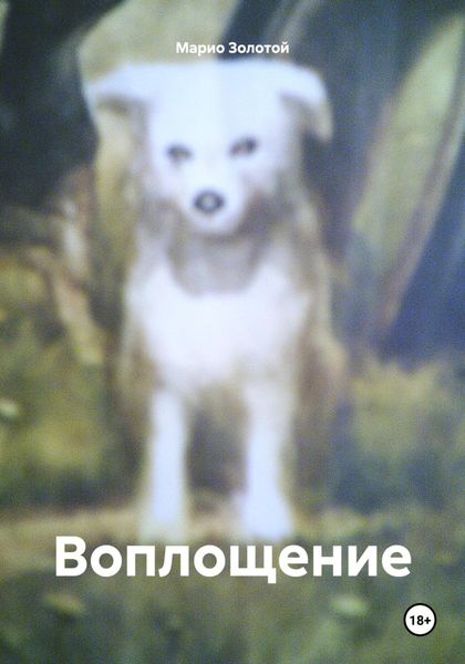 Обложка книги  «Воплощение»