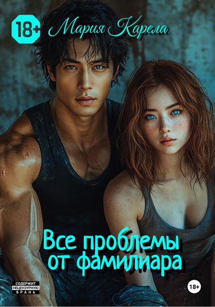Обложка книги «Все проблемы от фамилиара»