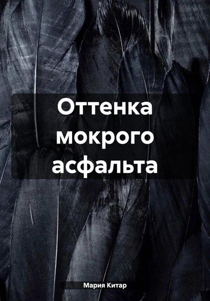 Обложка книги «Оттенка мокрого асфальта»