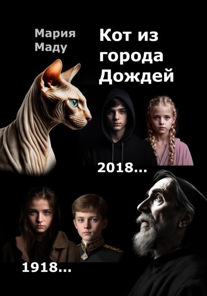Обложка книги  «Кот из Города дождей»
