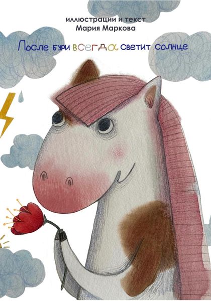 Обложка книги  «После бури всегда светит солнце»