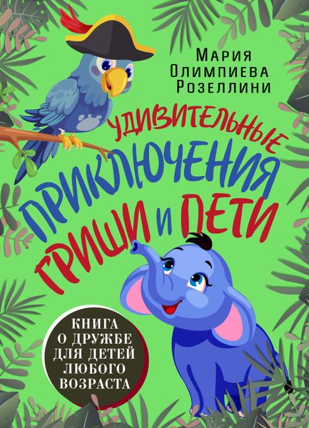Обложка книги «Удивительные приключения Гриши и Пети»