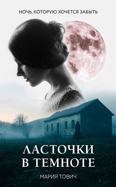 Обложка книги  «Ласточки в темноте»