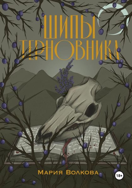 Обложка книги «Шипы Терновника»