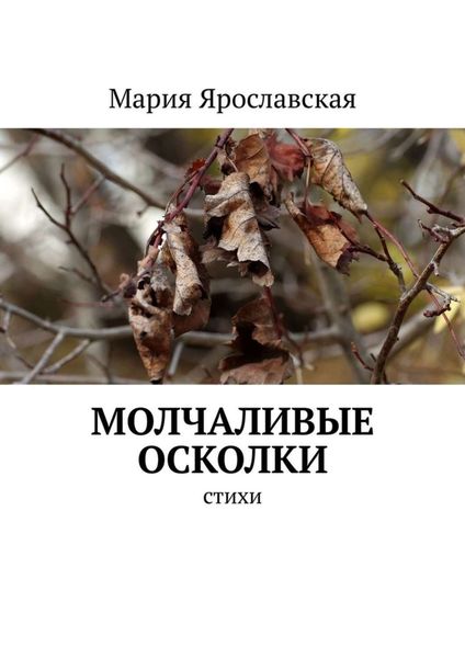 Обложка книги «Молчаливые осколки. Стихи»