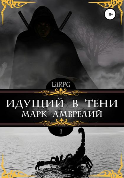 Обложка книги  «Идущий в тени»