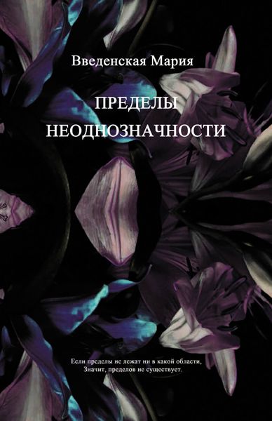 Обложка книги «Пределы неоднозначности»