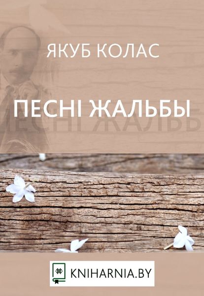 Обложка книги  «Песні жальбы»