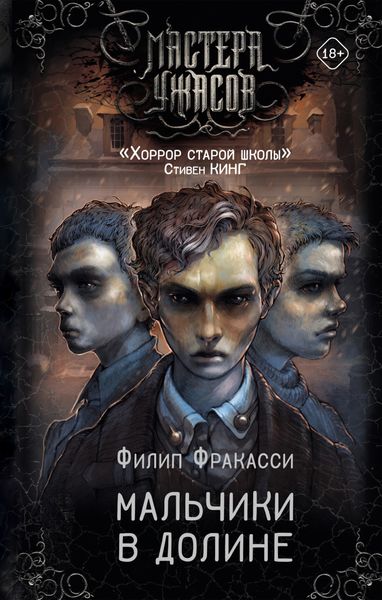 Обложка книги «Мальчики в долине»