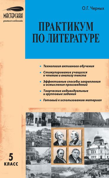 Обложка книги  «Практикум по литературе. 5 класс»