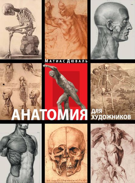 Обложка книги «Анатомия для художников»