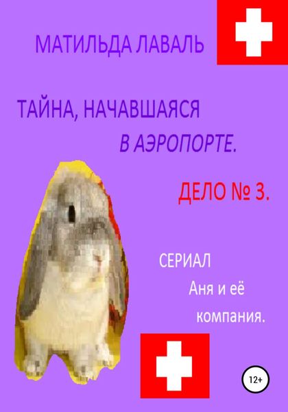 Обложка книги  «Тайна, начавшаяся в аэропорту…»
