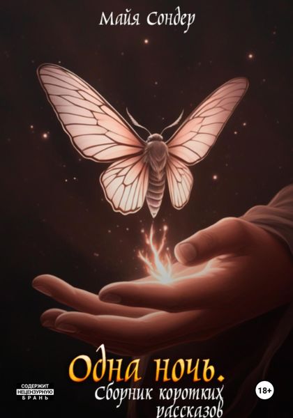 Обложка книги «Одна ночь. Сборник коротких рассказов»