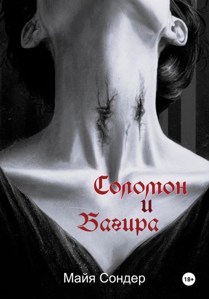 Обложка книги «Соломон и Багира»