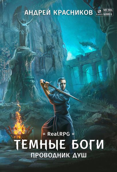Обложка книги  «Проводник душ»