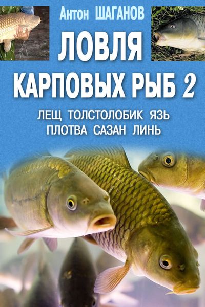 Обложка книги «Ловля карповых рыб – 2»