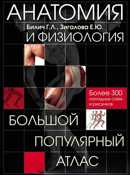 Обложка книги  «Анатомия и физиология. Большой популярный атлас»