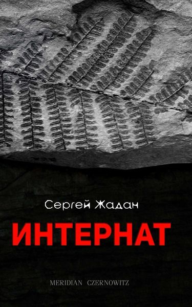Обложка книги  «Интернат»