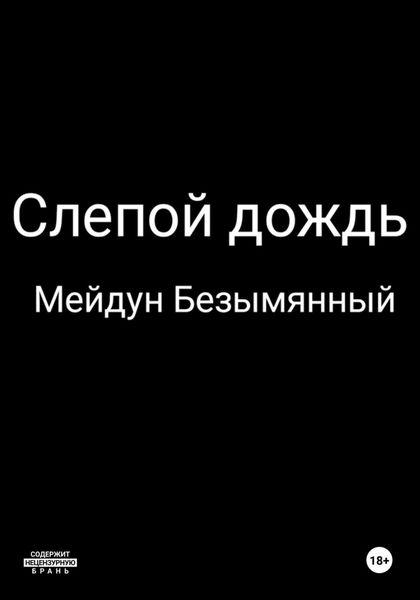 Обложка книги «Слепой дождь»