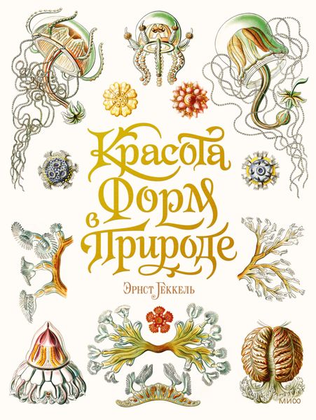 Обложка книги «Красота форм в природе»