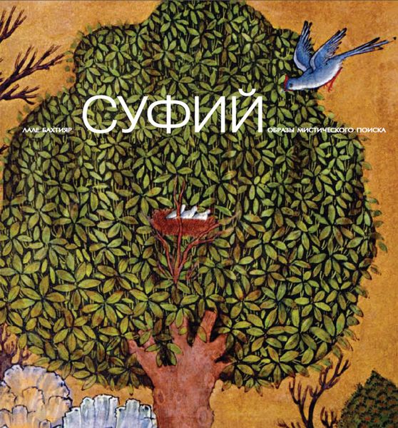 Обложка книги «Суфий: образы мистического поиска»
