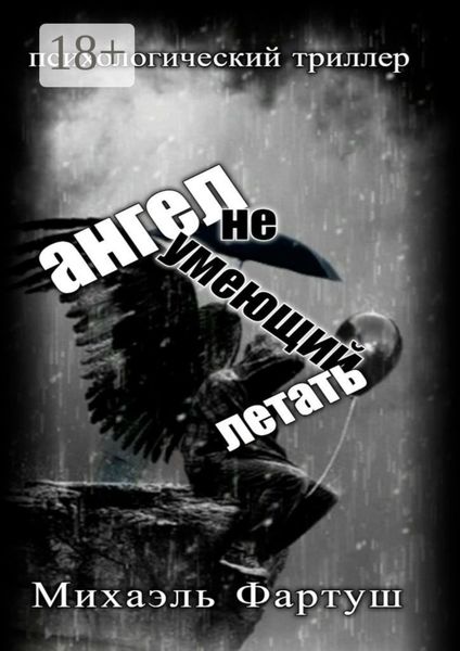 Обложка книги  «Ангел, не умеющий летать»