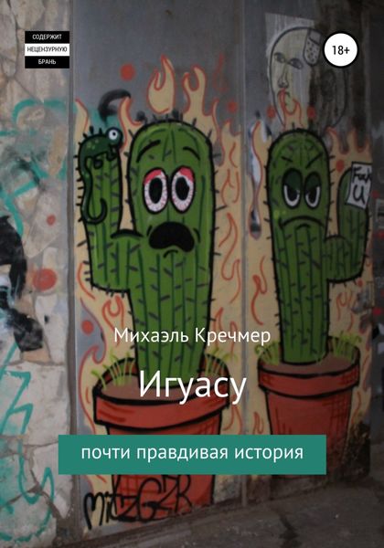 Обложка книги  «Игуасу»