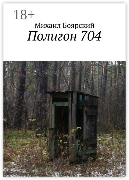 Обложка книги «Полигон 704»