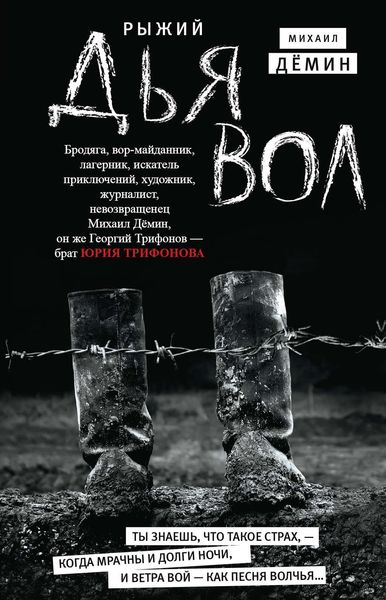 Обложка книги  «Рыжий дьявол»
