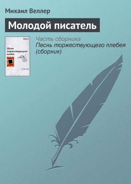 Обложка книги  «Молодой писатель»