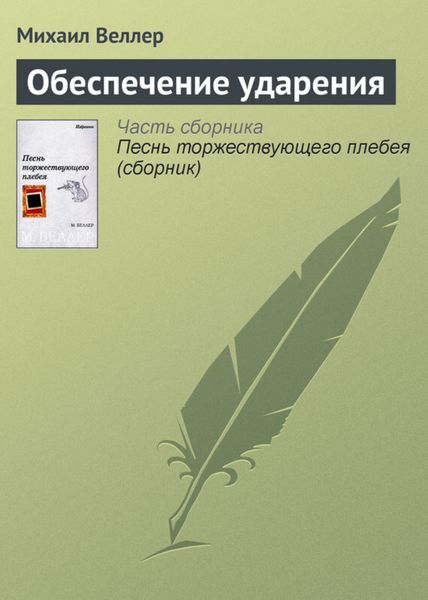 Обложка книги  «Обеспечение ударения»