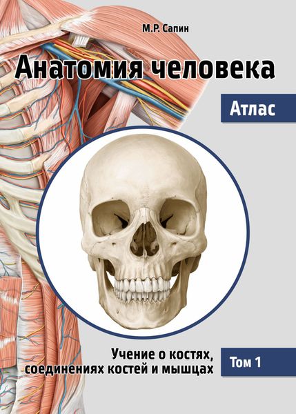 Обложка книги  «Анатомия человека. Атлас. Том 1. Учение о костях, соединениях костей и мышцах»