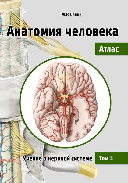Обложка книги  «Анатомия человека. Атлас. Том 3. Учение о нервной системе»