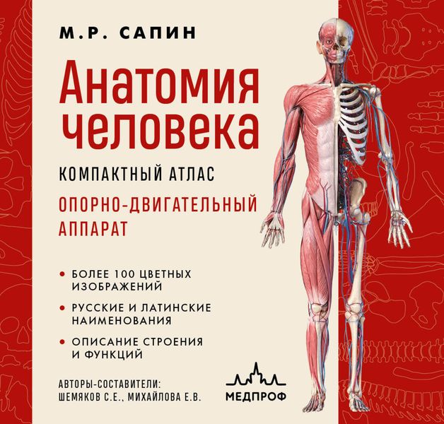 Обложка книги  «Анатомия человека. Компактный атлас. Опорно-двигательный аппарат»