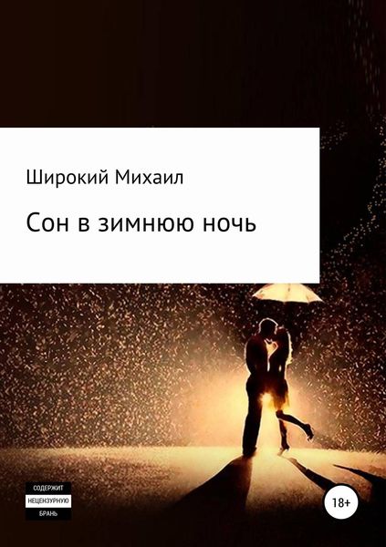 Обложка книги «Сон в зимнюю ночь»