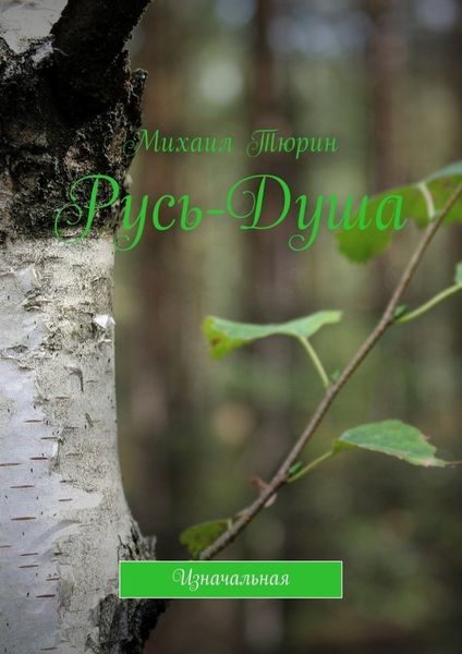 Обложка книги  «Русь-душа. Изначальная»