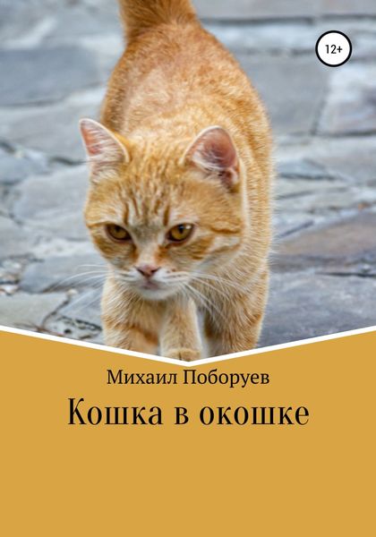 Обложка книги  «Кошка в окошке»