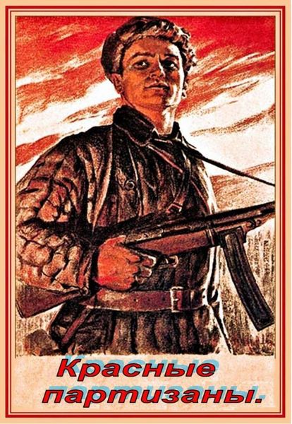 Обложка книги  «Красные партизаны»
