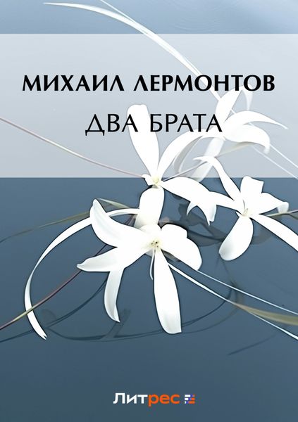 Обложка книги  «Два брата»