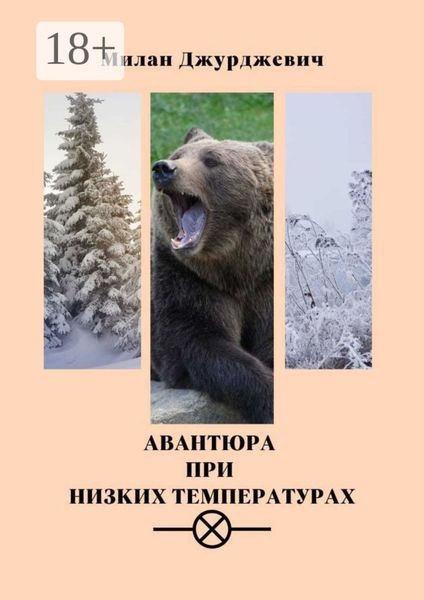 Обложка книги  «Авантюра при низких температурах»