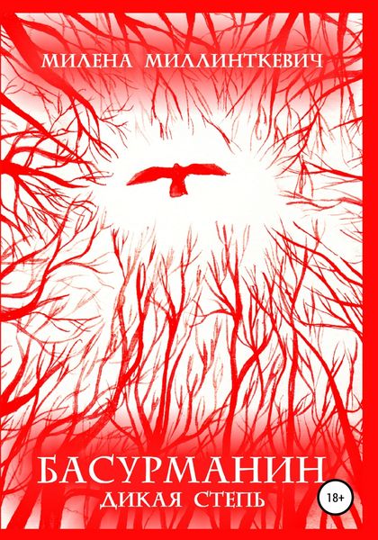 Обложка книги «Басурманин. Дикая степь»