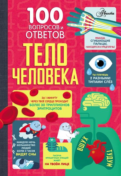 Обложка книги «Тело человека»