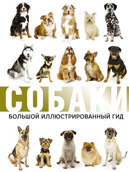 Обложка книги  «Собаки. Большой иллюстрированный гид»