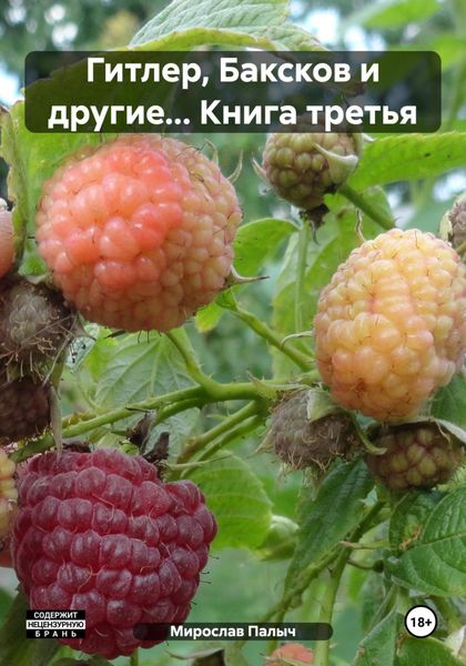Обложка книги  «Гитлер, Баксков и другие… Книга третья»