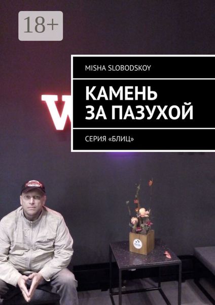 Обложка книги  «Камень за пазухой. Серия «Блиц»»