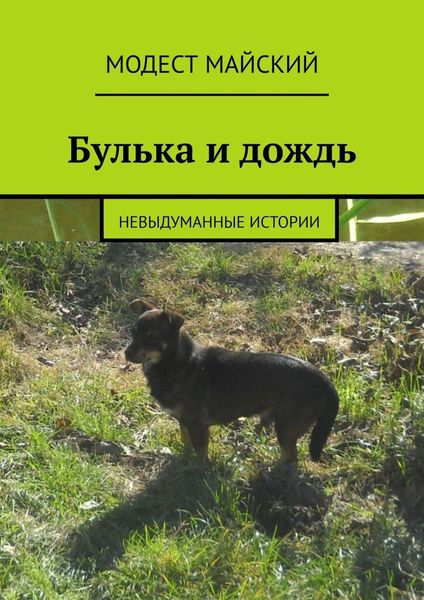 Обложка книги «Булька и дождь. Невыдуманные истории»